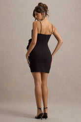 uploaded_image_1_wqr5a